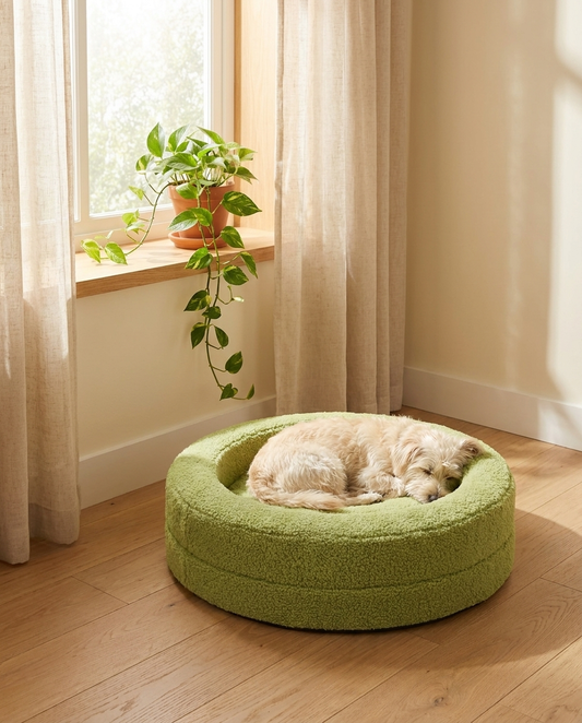 Small dog curled asleep in The Calming Nest sage green nest dog bed | PawHaus Co |c:Sage Green