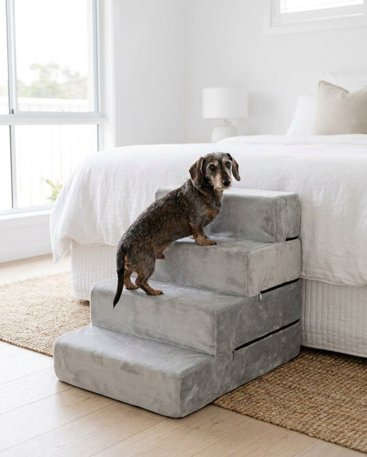 Dachshund climbing The Steps foam pet stairs beside a bed | PawHaus Co |s:4-steps