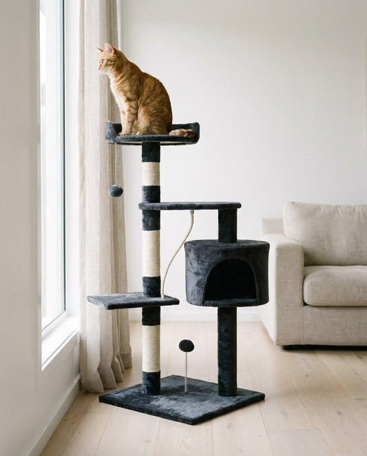 Ginger cat sitting on the top platform of The Perch cat tree | PawHaus Co