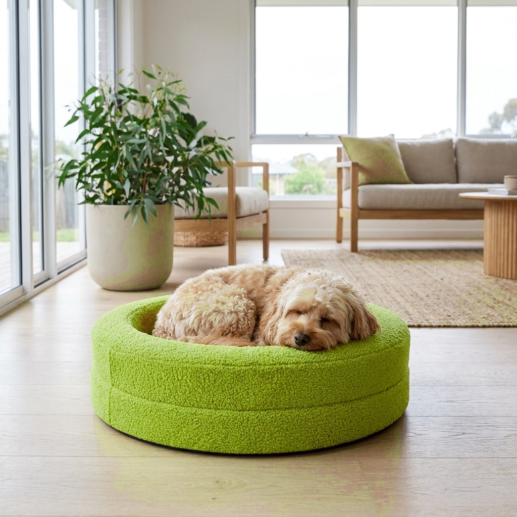 Cavoodle curled asleep in The Calming Nest lime green plush nest dog bed | PawHaus Co |c:Lime Green