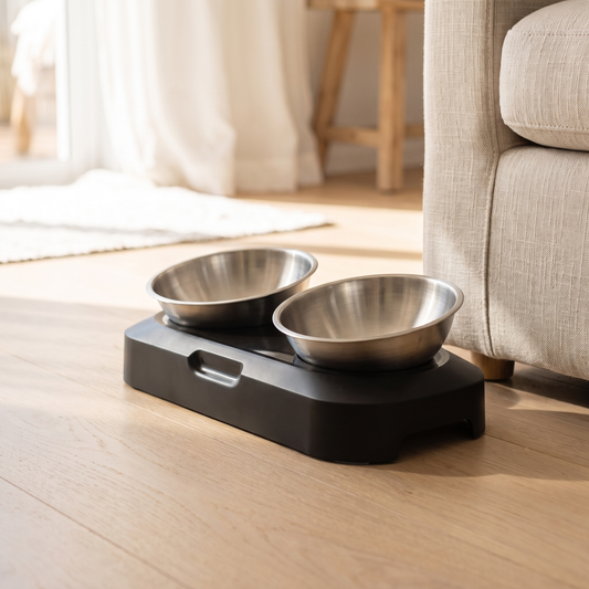 The Diner elevated twin stainless steel pet bowls |c:black