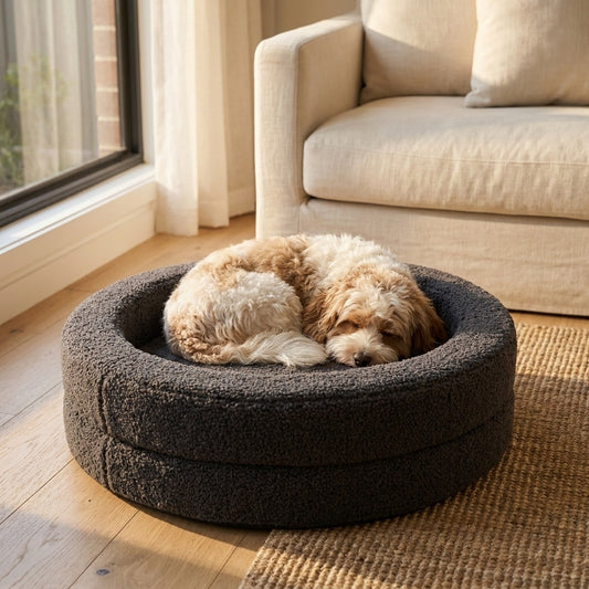 Cavoodle curled asleep in The Calming Nest charcoal plush nest dog bed | PawHaus Co |c:Charcoal