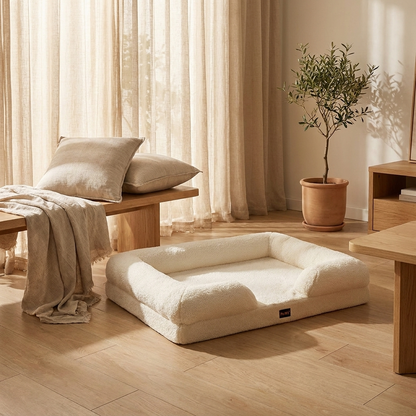 The Bouclé Sofa cream white dog sofa bed in Japandi living room |c:White
