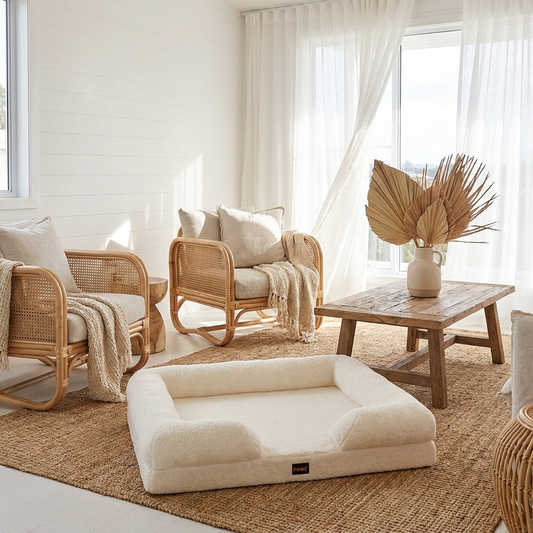 The Bouclé Sofa white cream dog sofa bed in bright coastal home |c:White