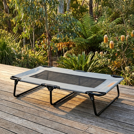 The Field Bed - elevated mesh dog cot on outdoor timber deck, garden setting