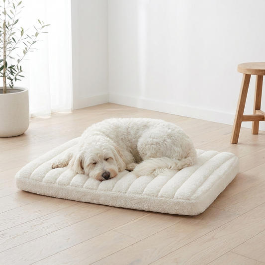 The Sherpa - white spoodle sleeping in cream stone ribbed sherpa dog bed, minimalist interior