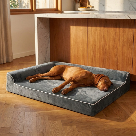 The Velvet Cushion - vizsla sleeping on charcoal grey velvet dog bed, kitchen interior