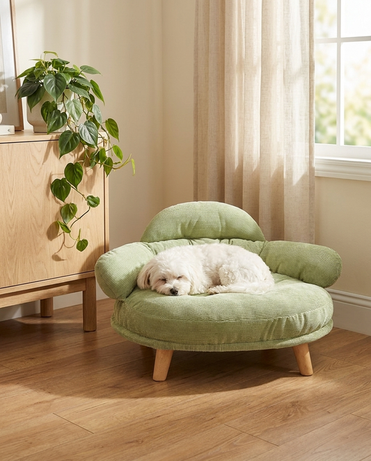 Small dog asleep in The Cocoon Lounge sage green corduroy dog sofa | PawHaus Co |c:Sage Green
