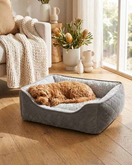 Dog curled in The Quilted Bolster grey four-sided plush dog bed | PawHaus Co