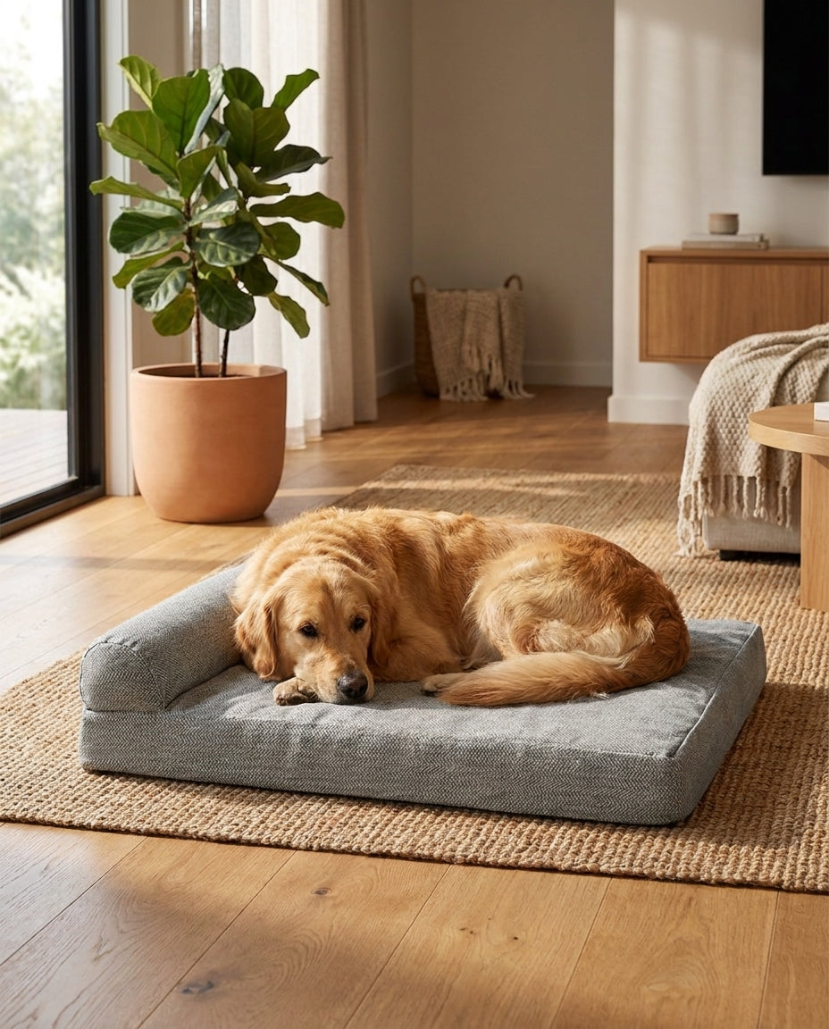PawHaus Co premium dog beds styled in a modern Australian home