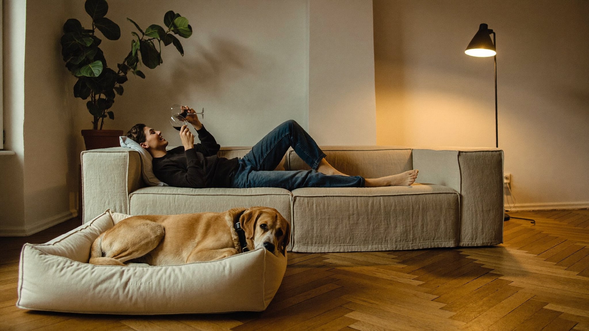 PawHaus Co — a life well rested